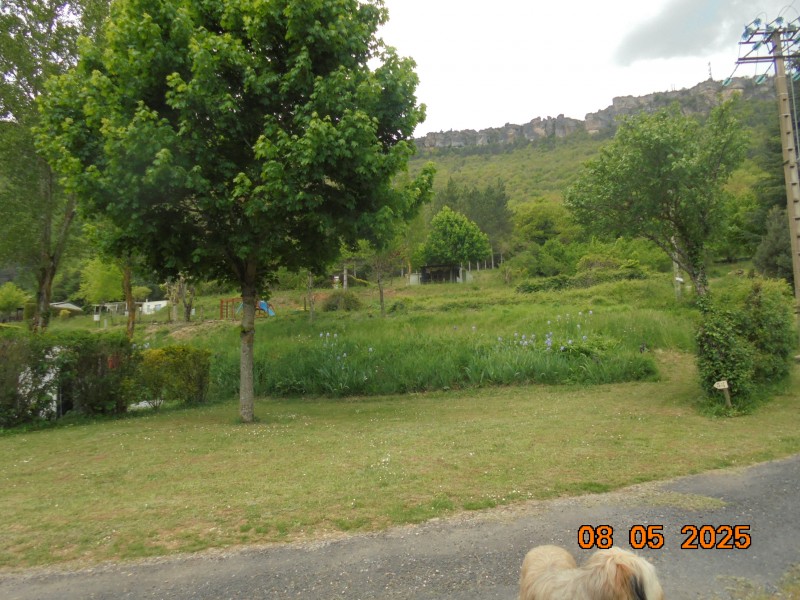 DSC01593.JPG