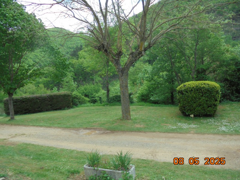 DSC01594.JPG