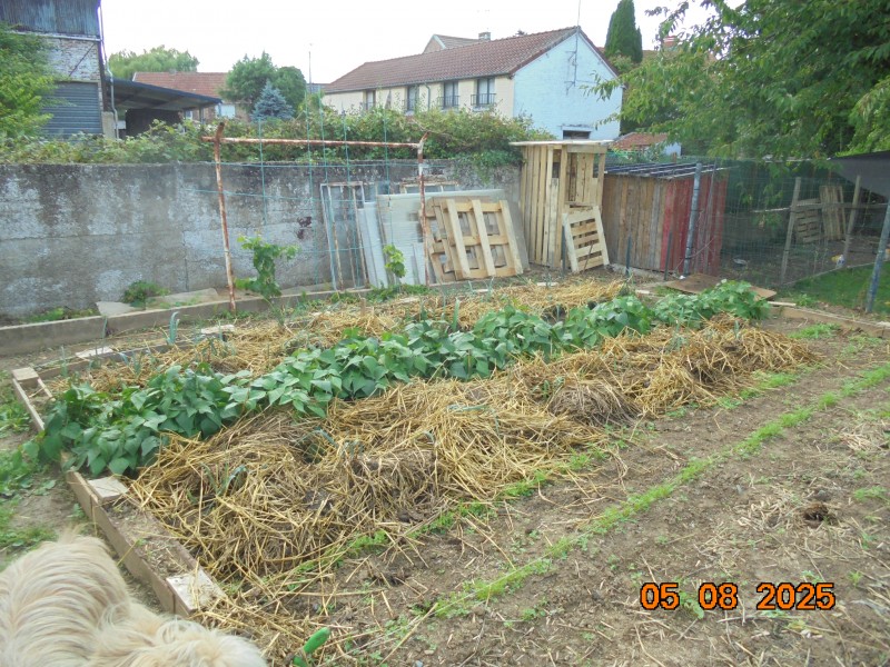 DSC01707.JPG