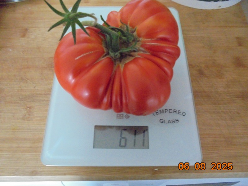 DSC01710.JPG