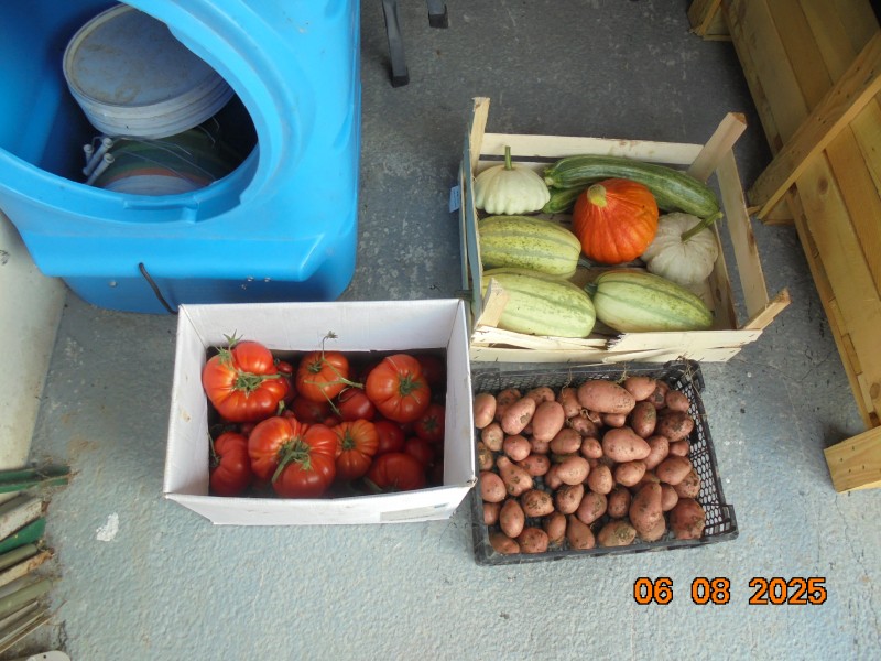 DSC01712.JPG