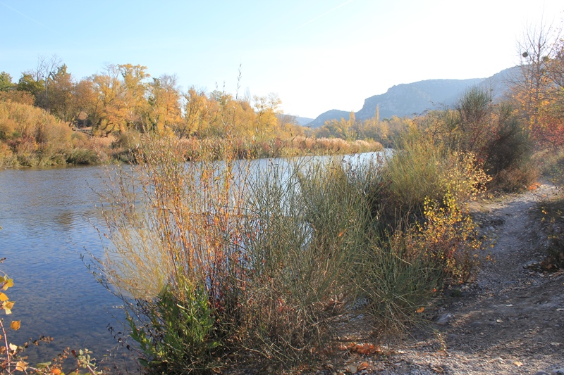 97 - Greoux-Les-Bains.JPG