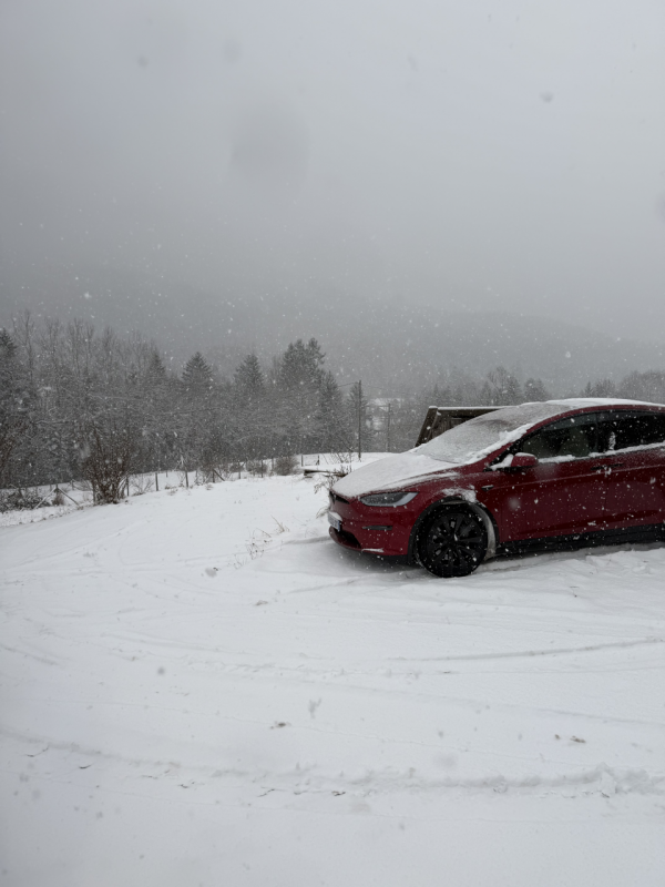 IMG_6734 - Grande.png