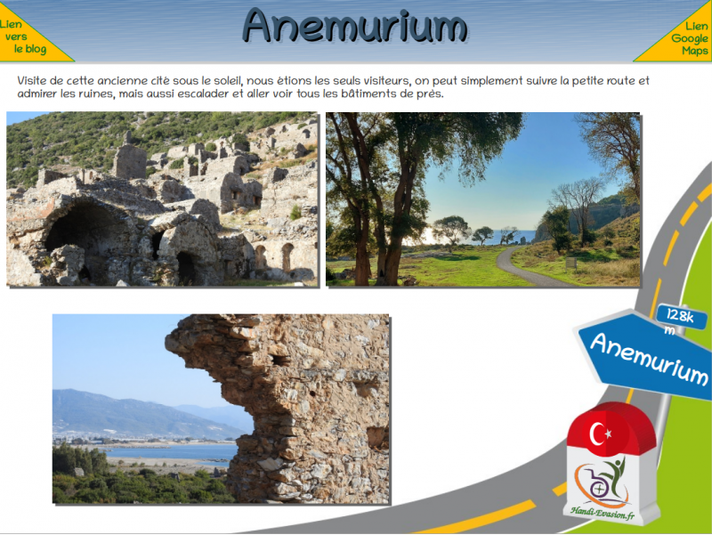 anemurium.png