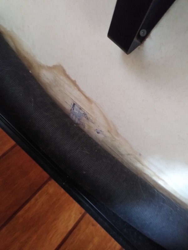1000039609.jpg