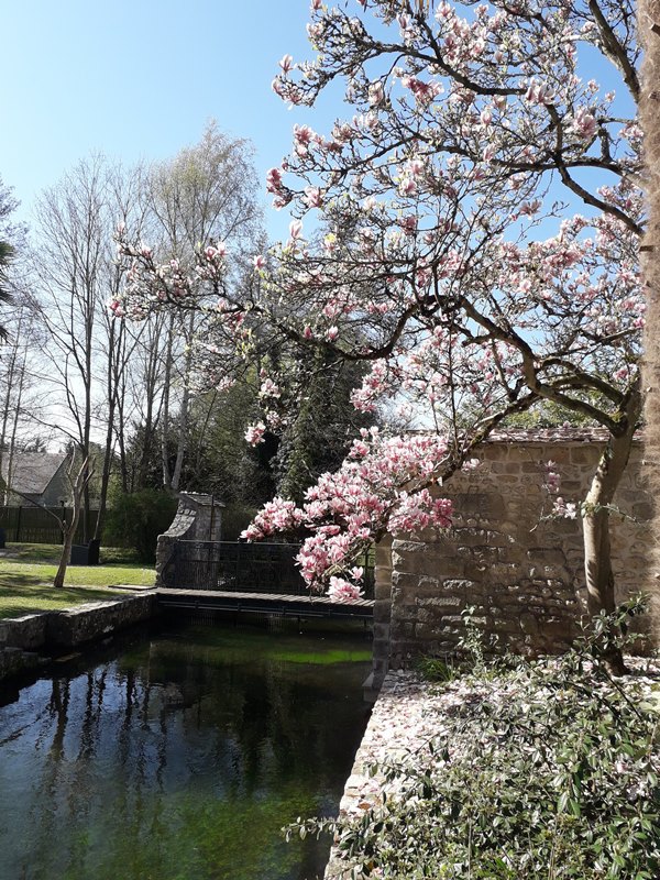 18 - Dannemois.jpg