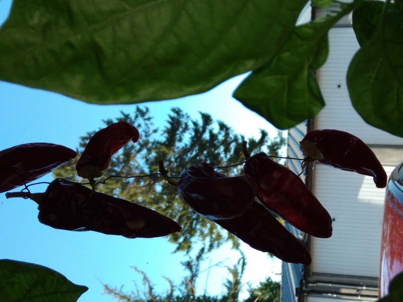 20260925_170132.jpg