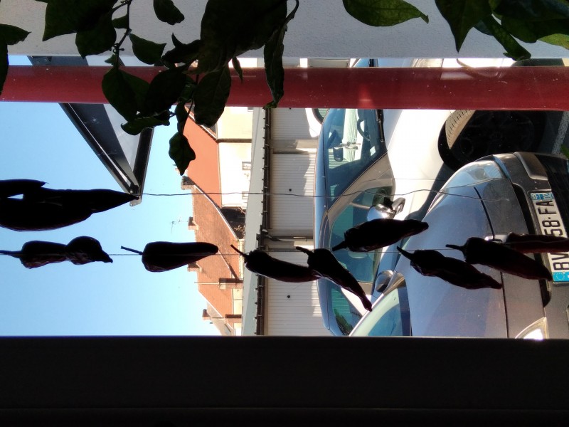 20260925_170034.jpg