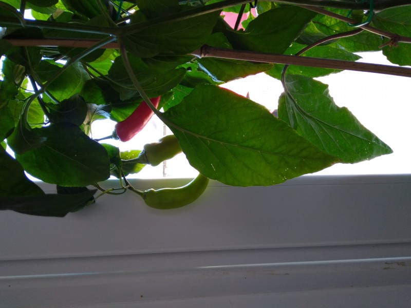 20260925_165922.jpg